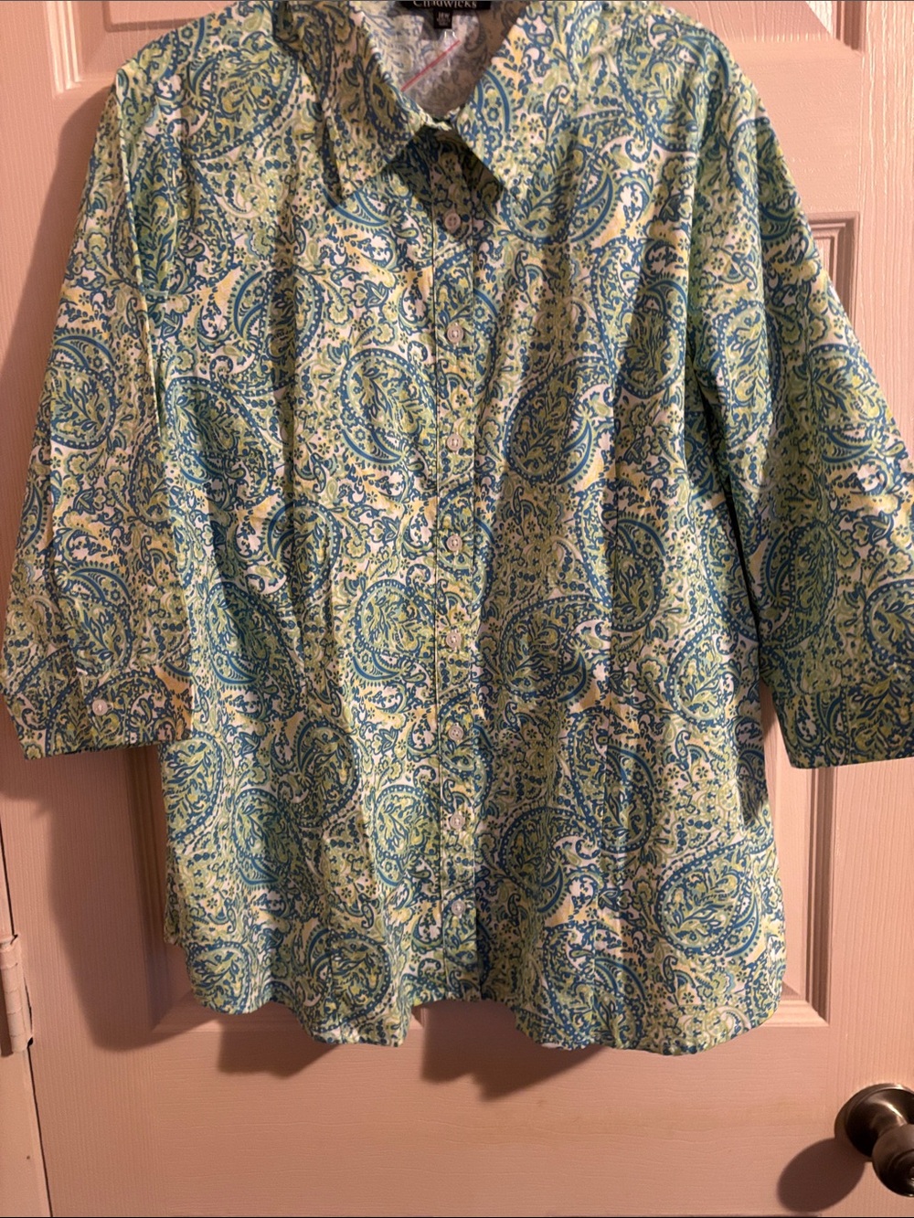 Chadwicks Paisley Button-Up Blouse in Green & Blue